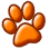 Animal Agents