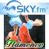 Sky FM - Classical guitar